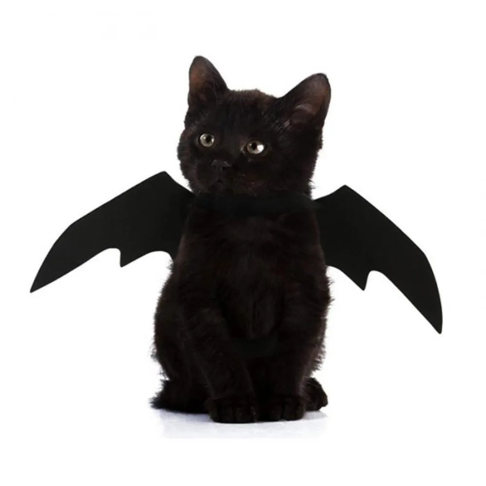 One size fits all cat Bat winged costume