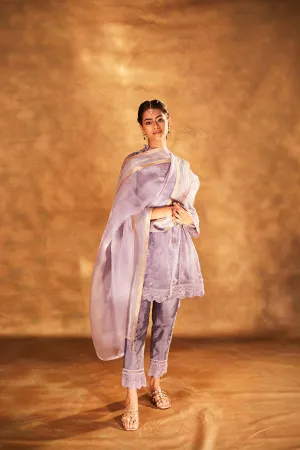 Organza Kurta with Slip & Silk Pants