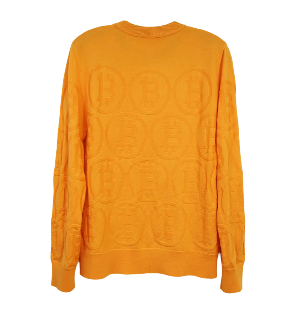 ORION BITCOIN MERINO CREW NECK PULLOVER