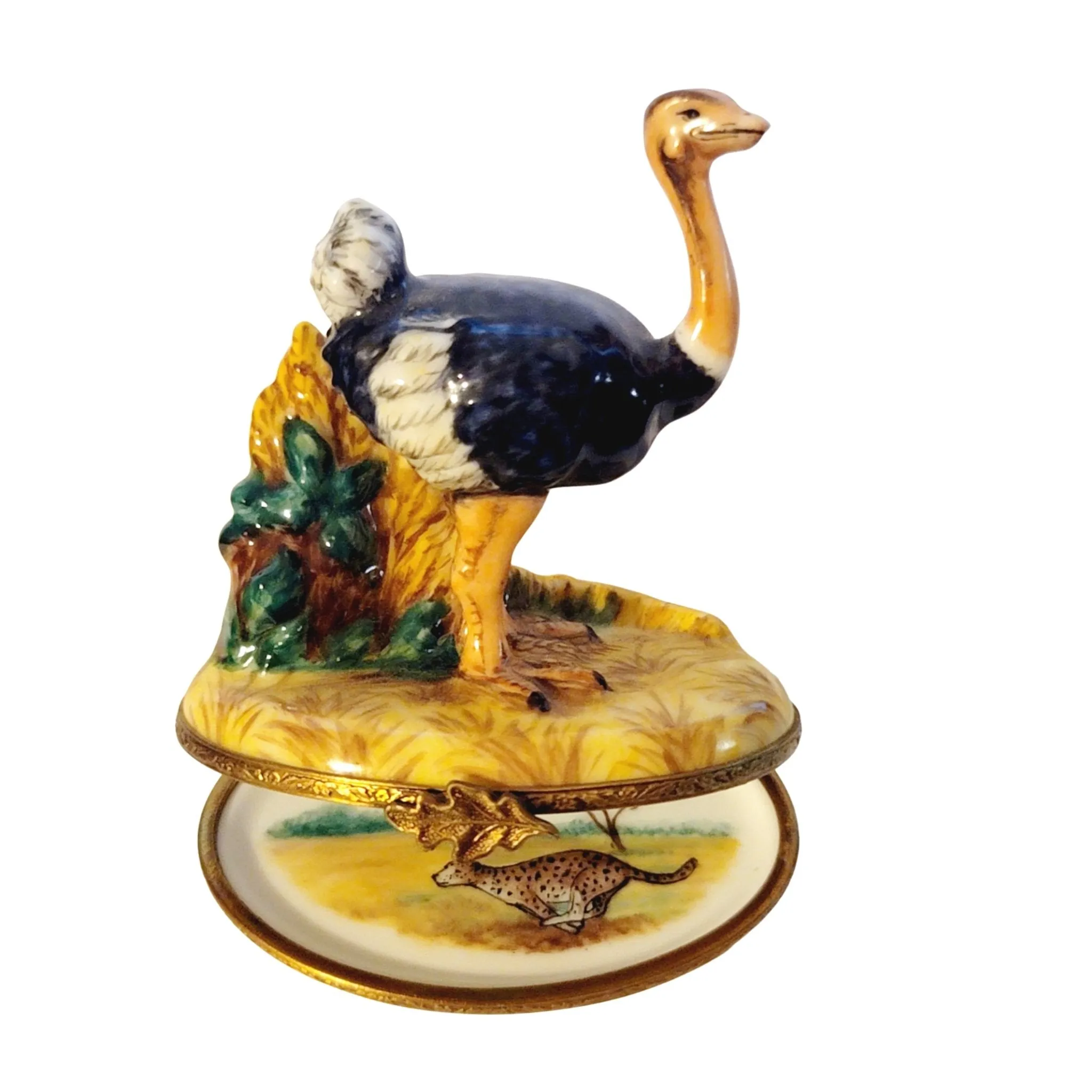Ostridge Bird