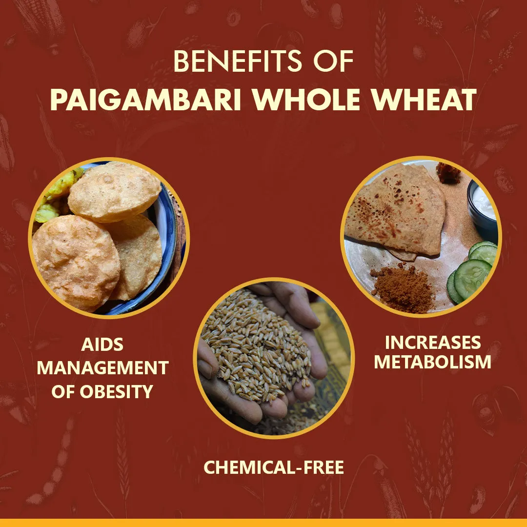 Paigambari Whole Wheat Flour
