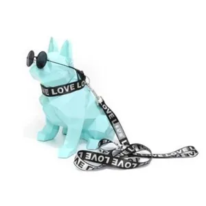 Pawsindia Love Collar and Leash Set for Dog