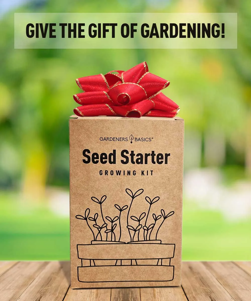 Pepper Seed Starter Kit