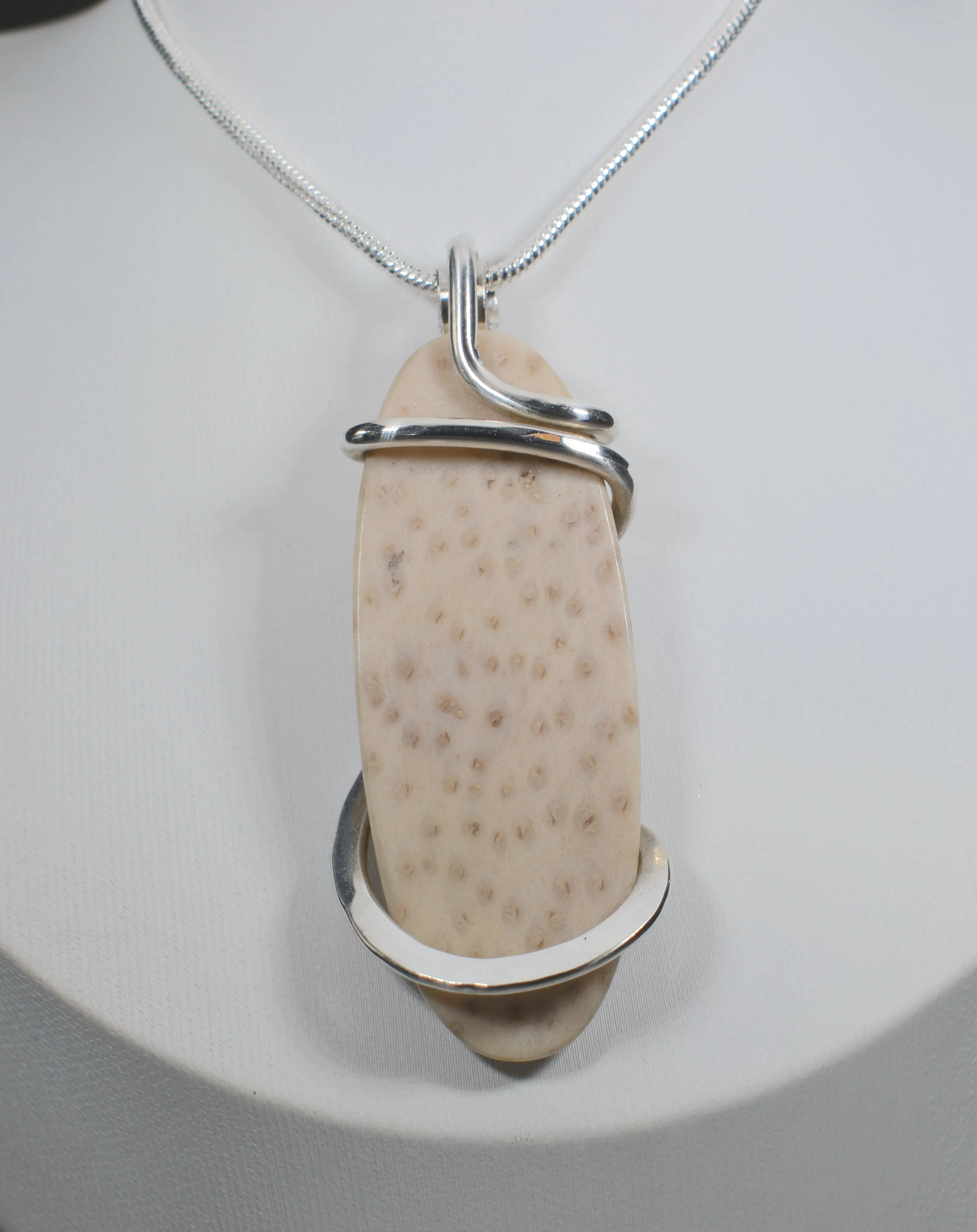 Petrified Palm Wood Handmade Stone Pendant Wrapped in Silver