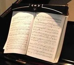 Physical Book Page Turner for Disabled   Wireless Hand or Foot Pedals (or Two Ability Switches)