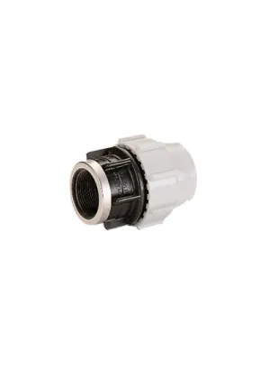 Plasson Adaptor 25mm x 1" BSP Female 7030 (PL070300025010)