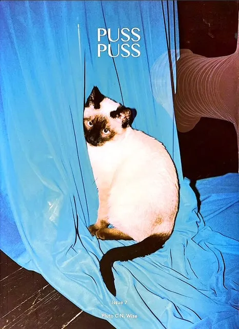 PLUTO Puss Puss Magazine #7 2018 MICHELE LAMY Dree Hemingway MOSES SUMNEY