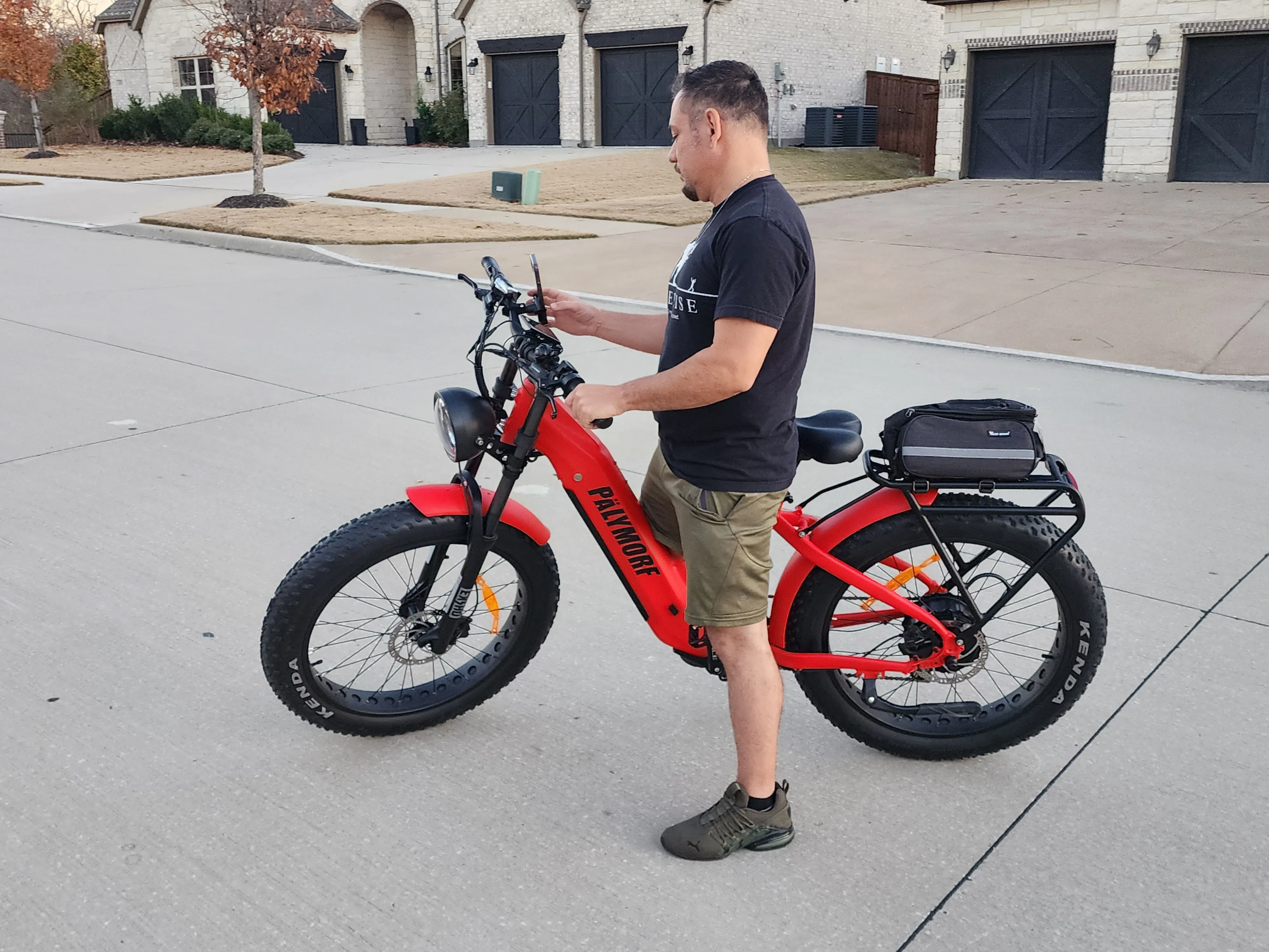Pälymorf Artemis 500 Electric Bike