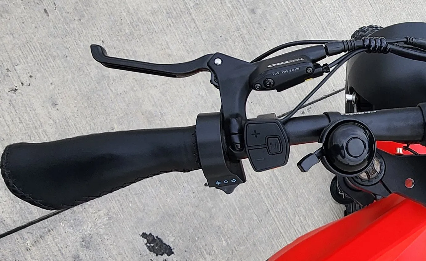 Pälymorf Artemis 500 Electric Bike