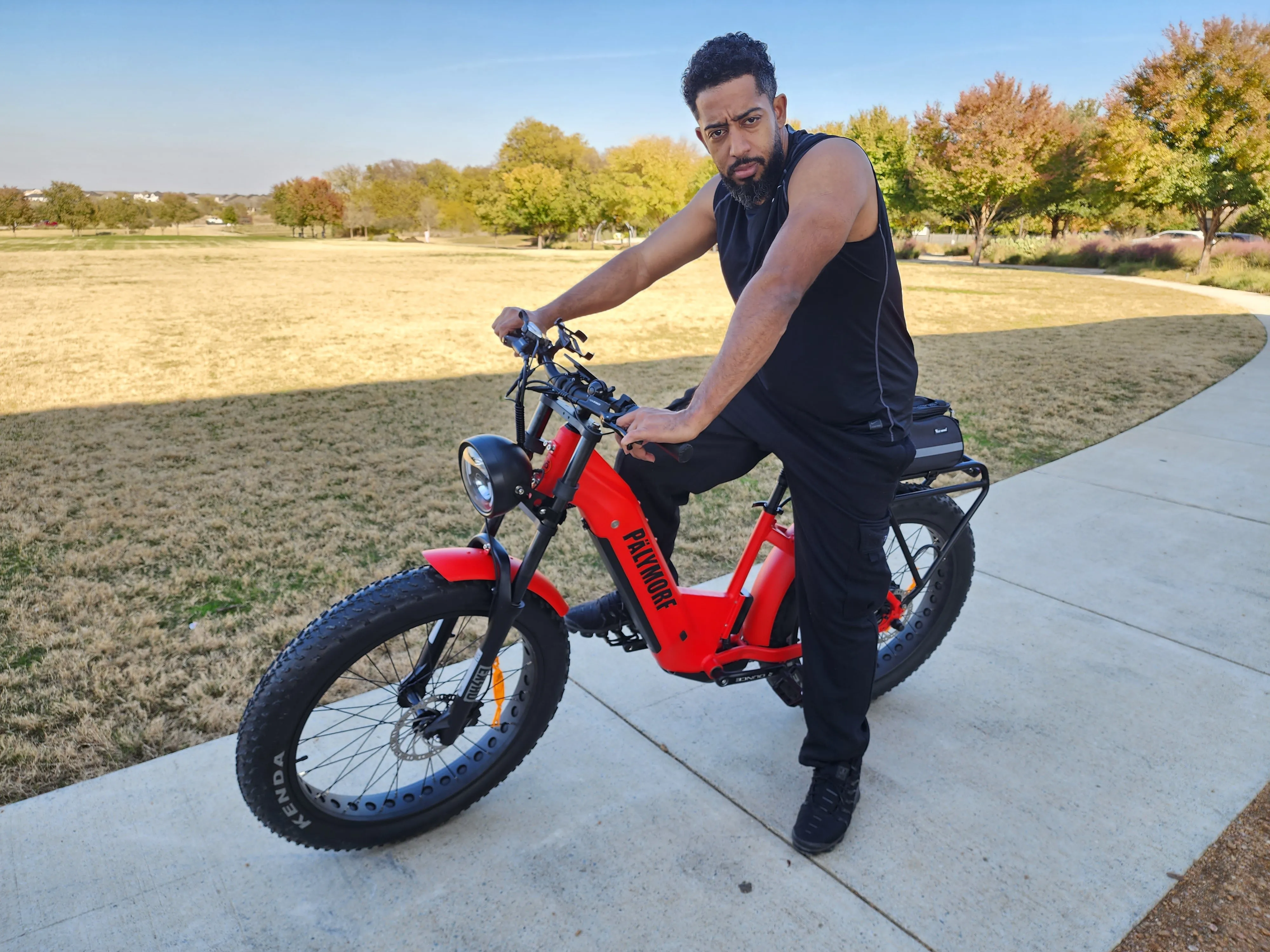 Pälymorf Artemis 500 Electric Bike