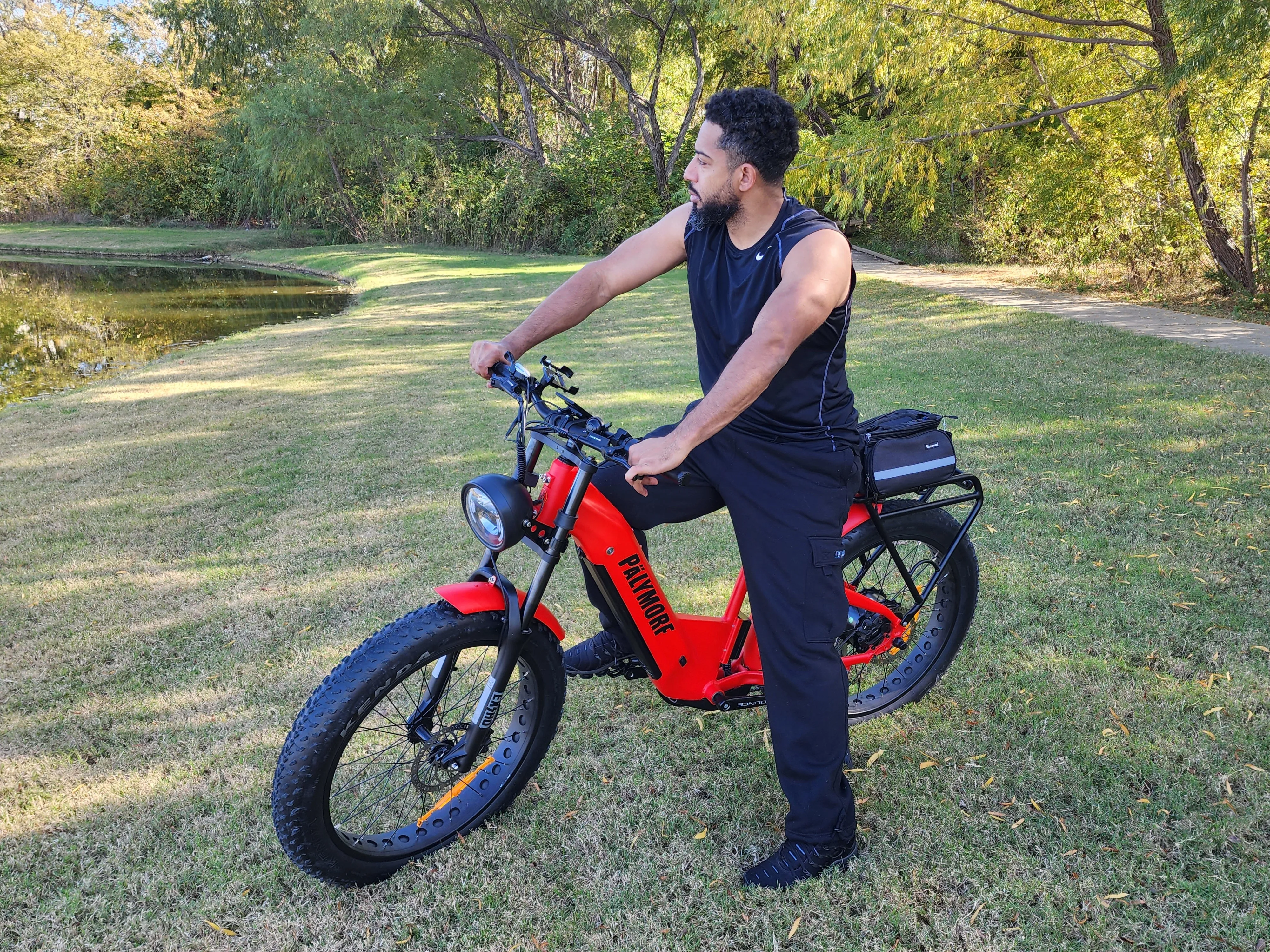 Pälymorf Artemis 500 Electric Bike