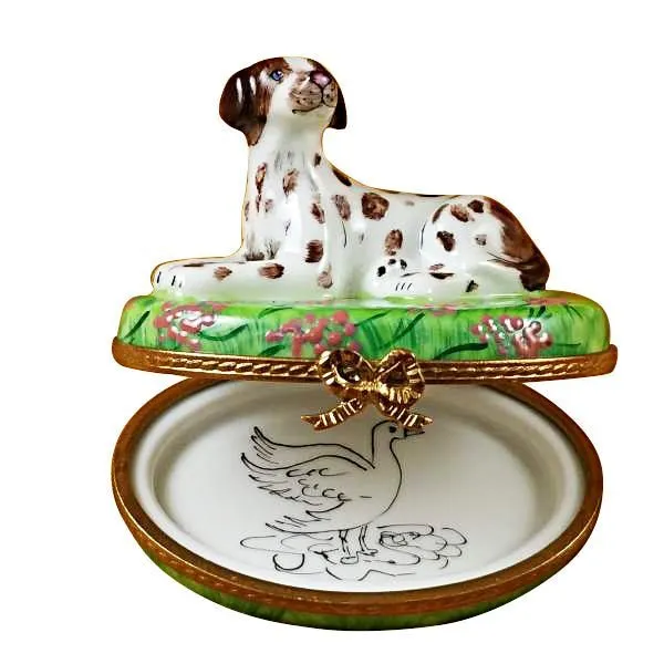 Pointer Dog