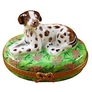 Pointer Dog