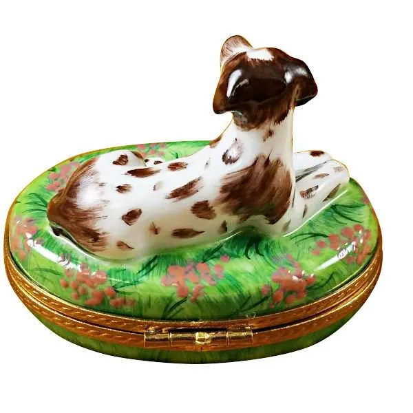 Pointer Dog