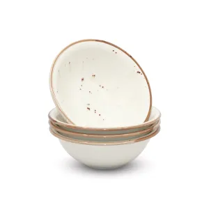 Porcelain Soup Bowls Set of 4