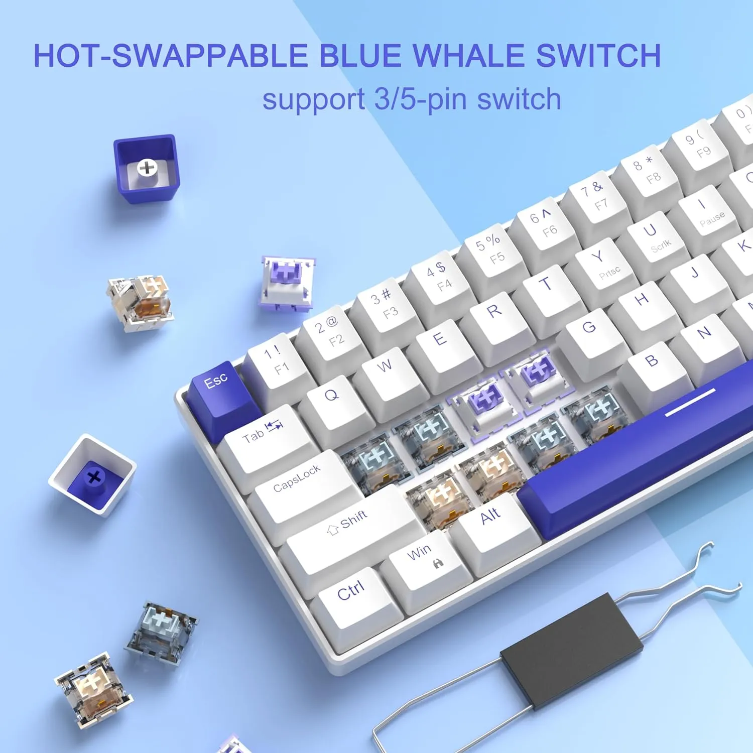 Portable Mechanical Gaming Keyboard LED Backlit Compact 68 Keyscaps