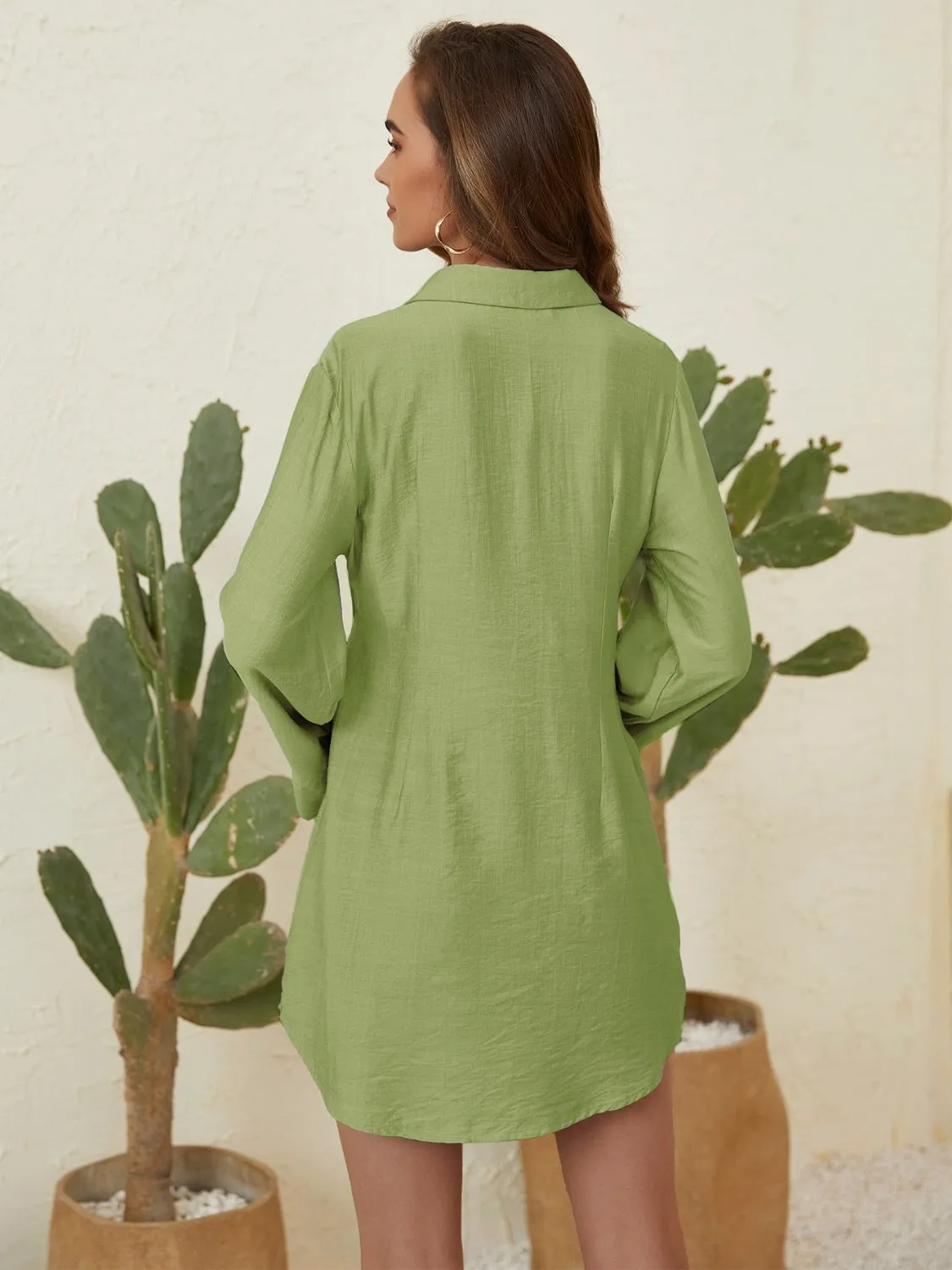 PREORDER Collared Neck Long Sleeve Mini Shirt Dress