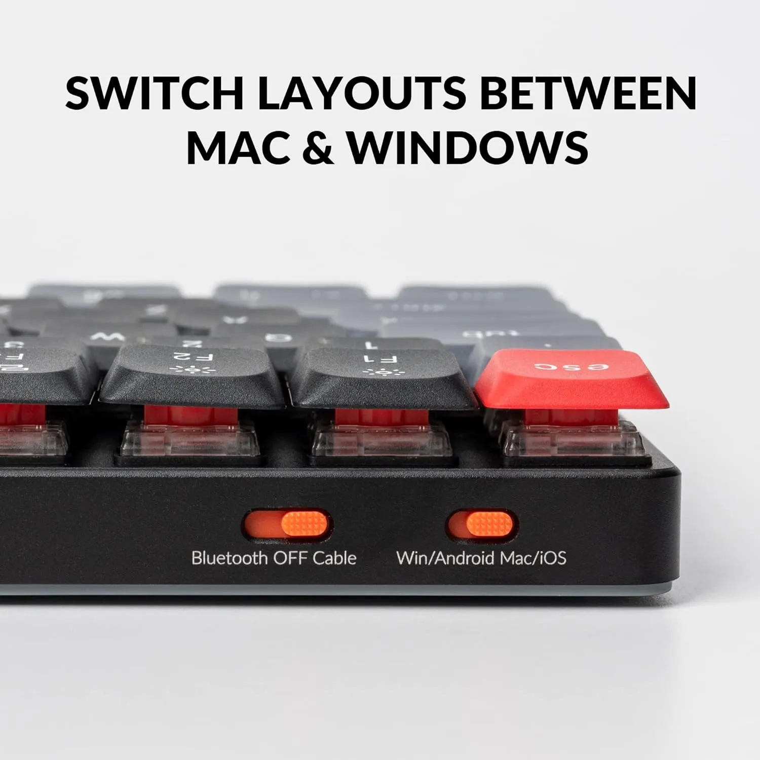 Pro Wireless Custom Mechanical Keyboard