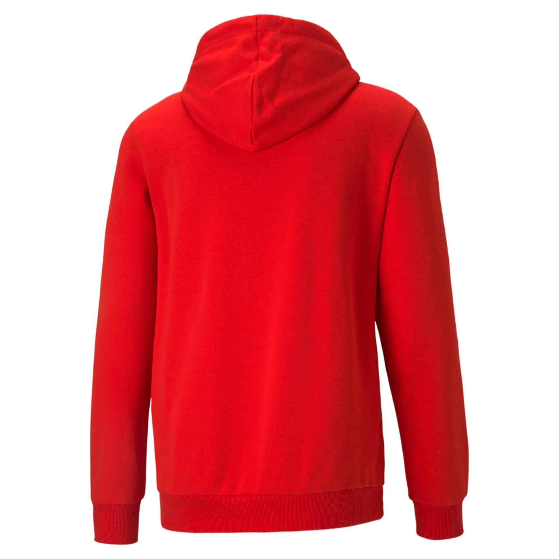PUMA ESSENTIALS BIG LOGO MEN'S HOODIE