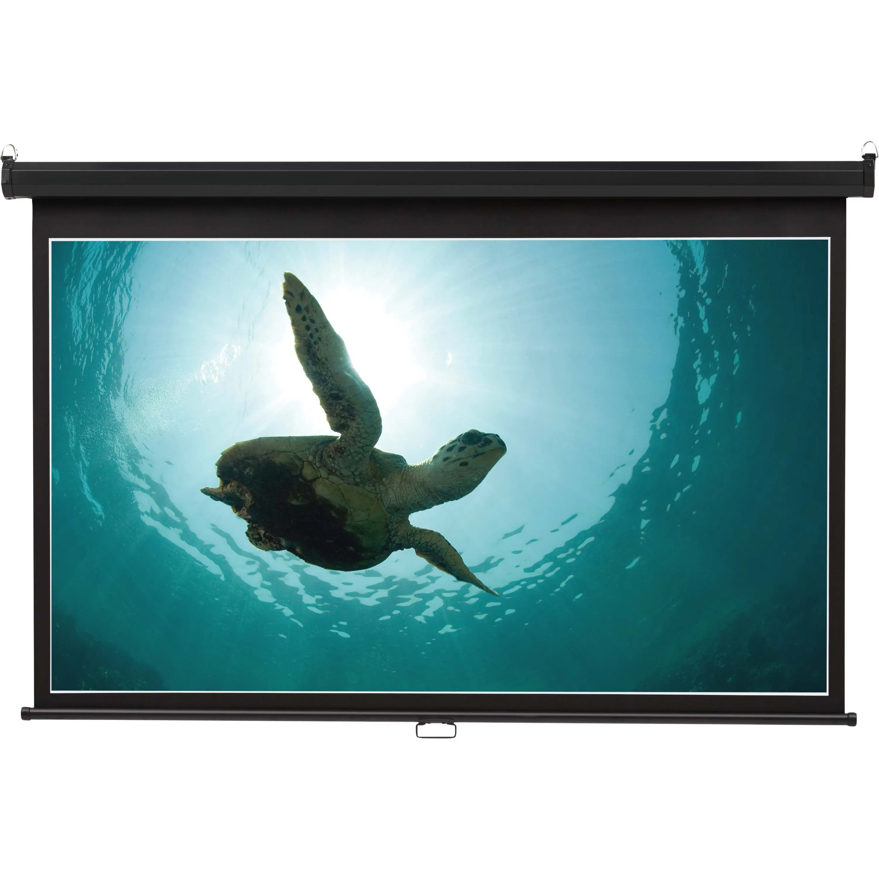 Quartet Manual Projection Screen