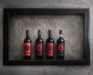 Quattrocento The 4 Aces Gift Box