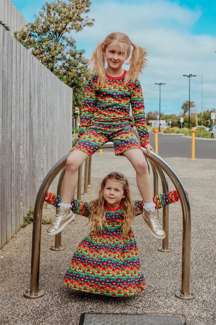 Radish Bold Stripe Long Sleeve Skater Dress [only 9-10 & 10-11 Years left]