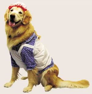 Raggedy Ann Pet Costume Large  Costume