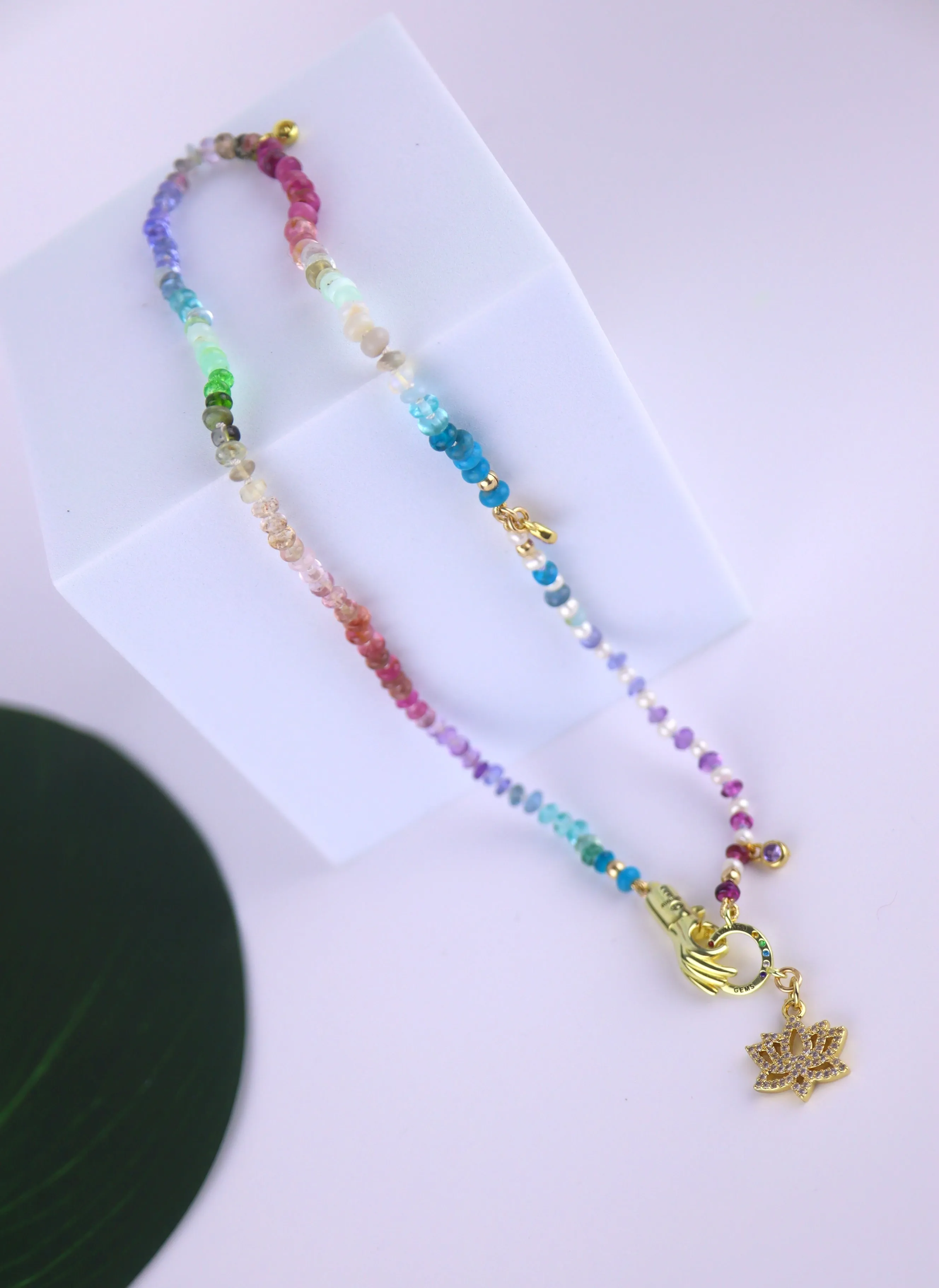 Rainbow lotus