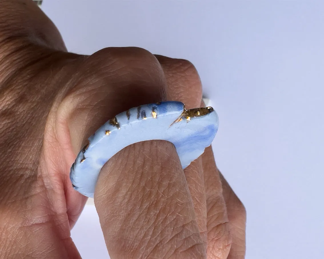 Ring Astera D