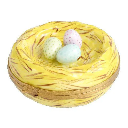 Robin' Bird Nest