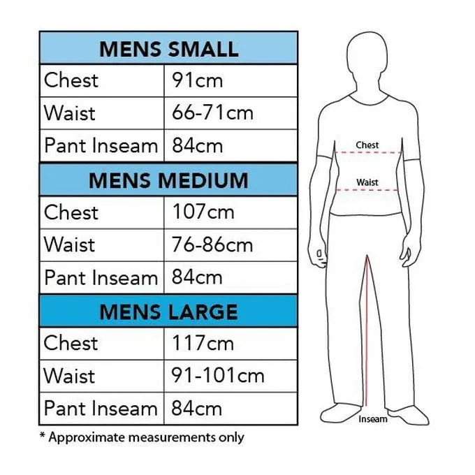 Robin Deluxe Muscle Chest Costume Size Small