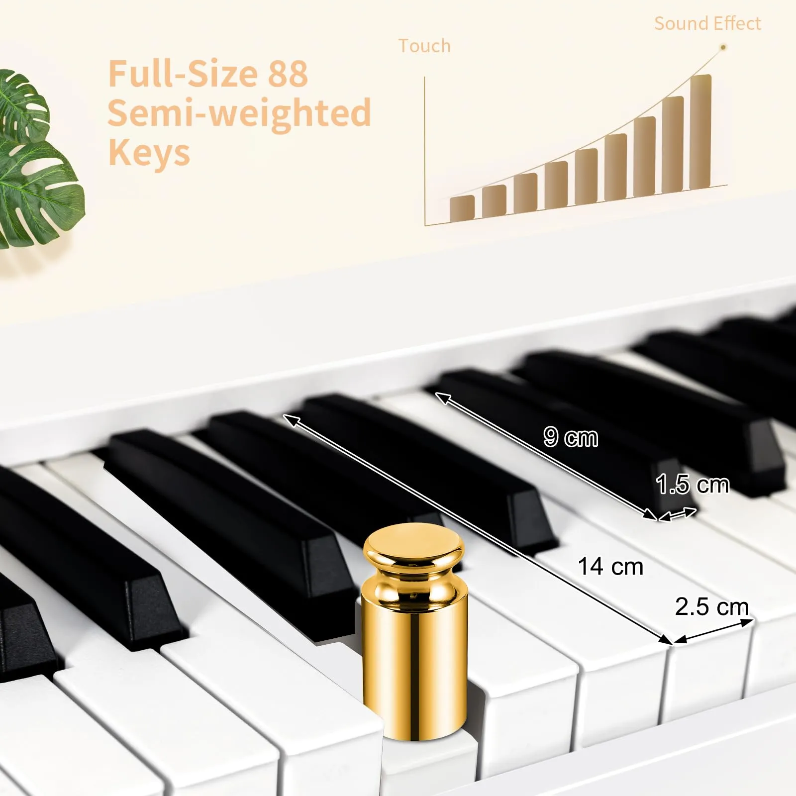 Roland FP10 BK Digital Piano