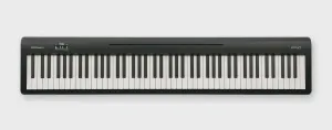 Roland FP10 BK Digital Piano