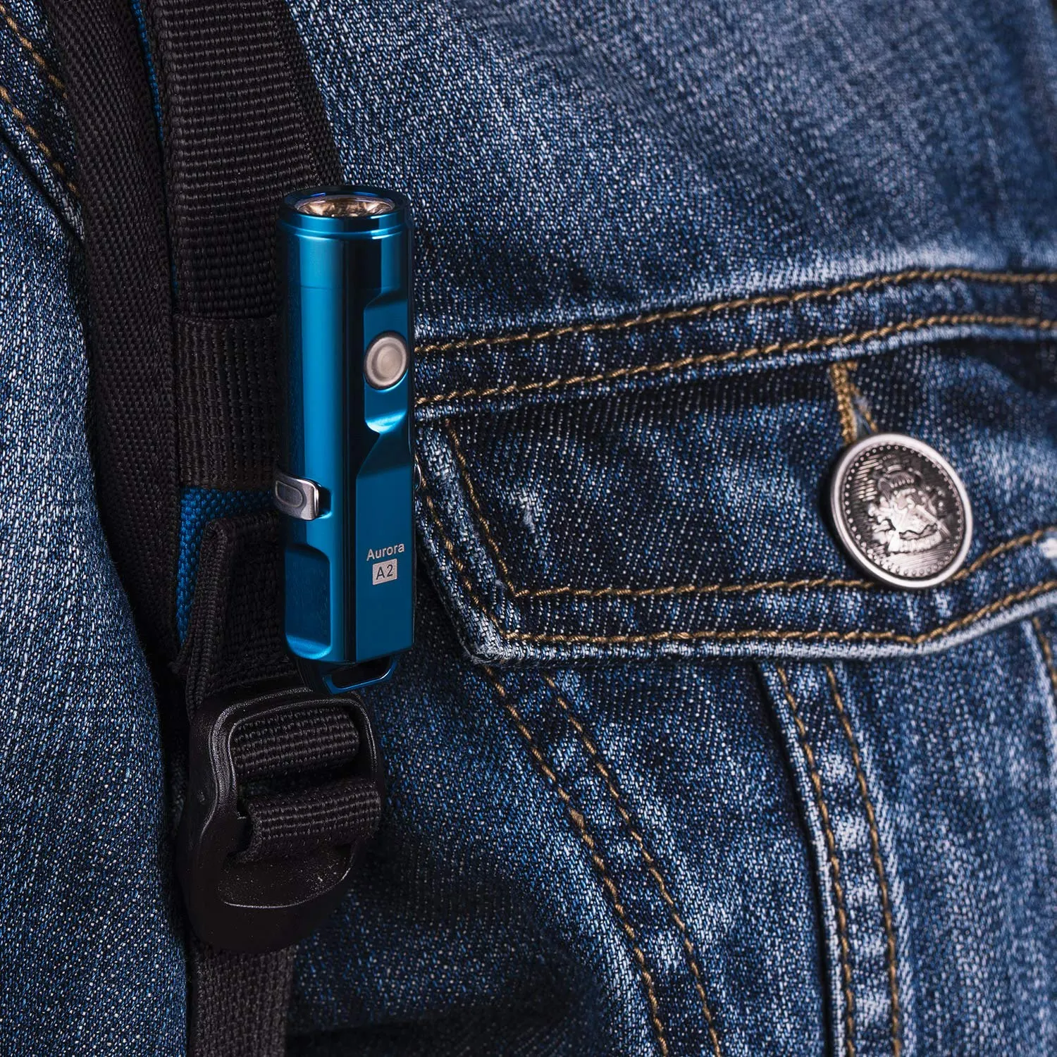 Rovyvon - A2x Stainless Steel 650 Lumens (Blue)