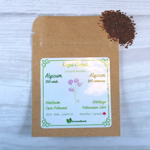 Royal Carpet Alyssum Seeds