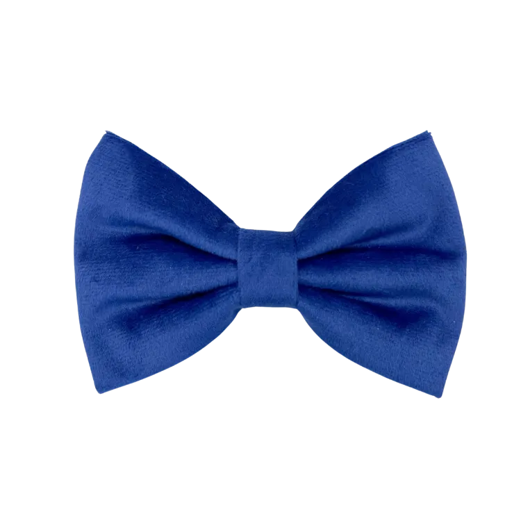 Royal Velvet - Dog Bowtie