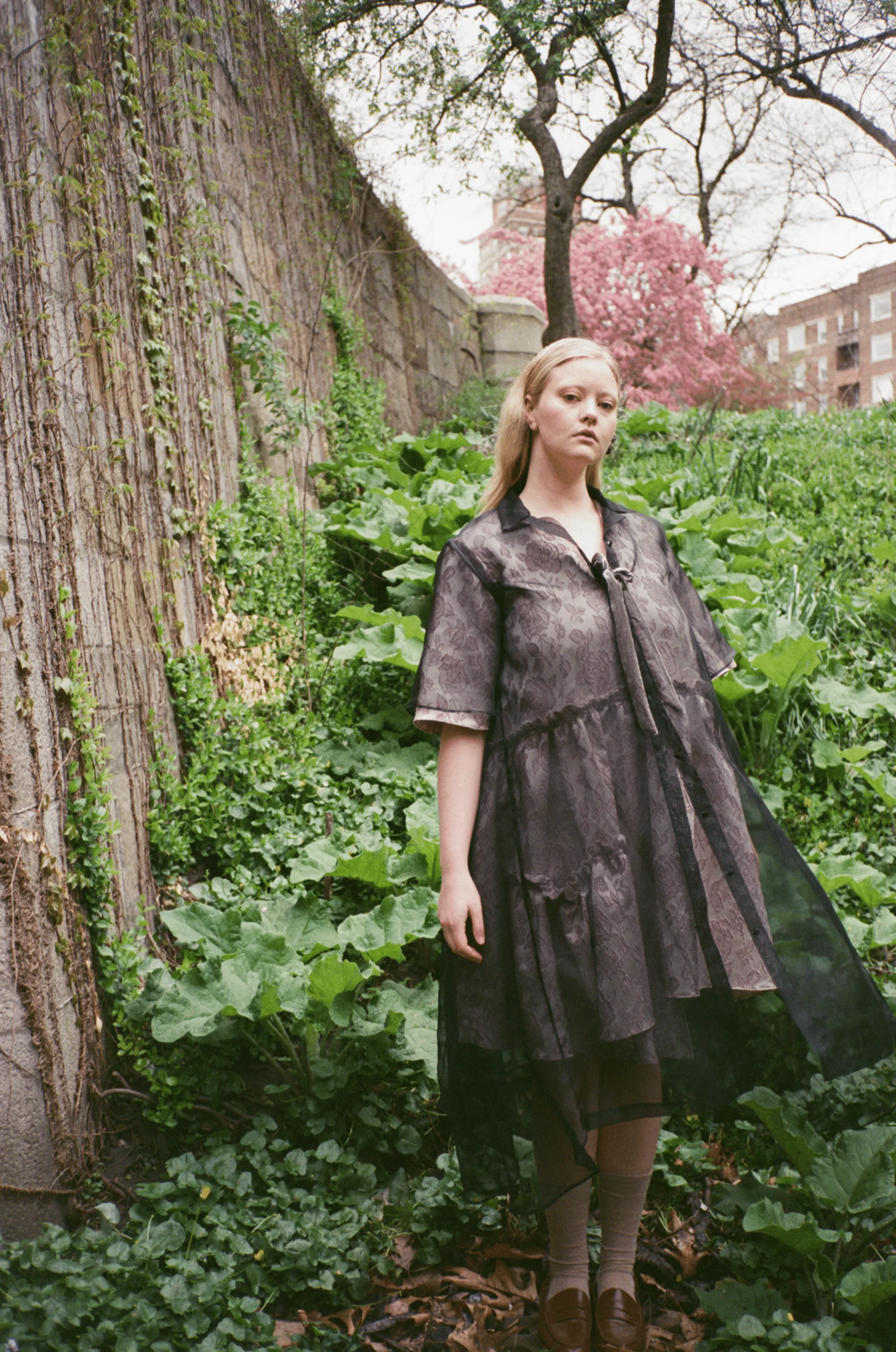 Rumah Jacquard Velvet Bow Dress