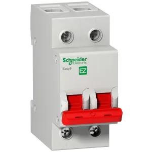 Schneider Electric EZ9S16291 100A 2P 400V Main Switch Disconnector
