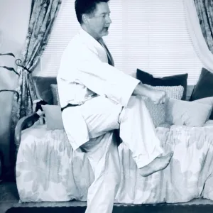 Seisan Kata Study Guide with Select Bunkai