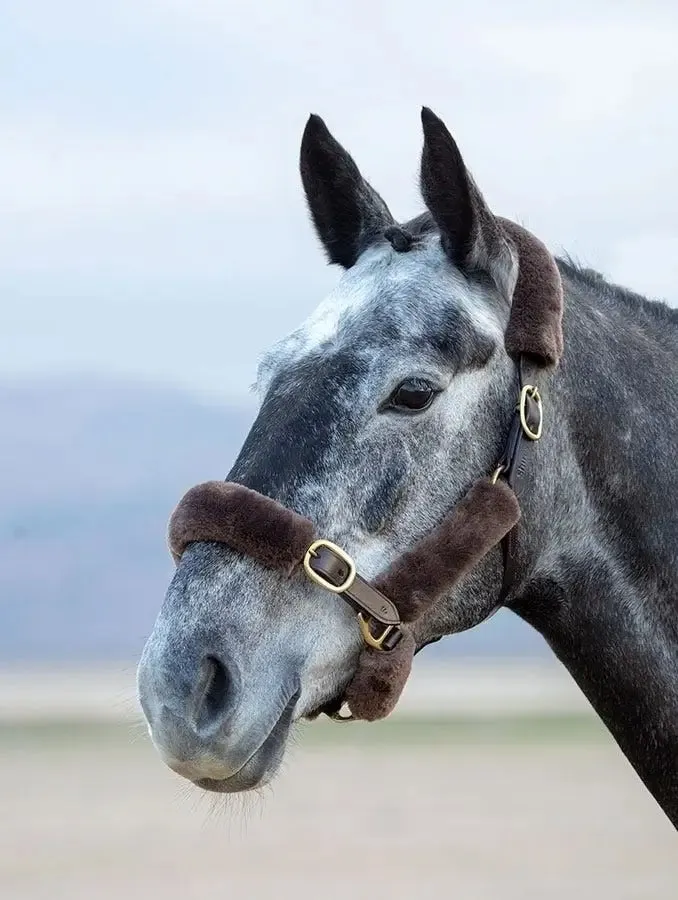 Shires Performance Supafleece Halter Fleeces