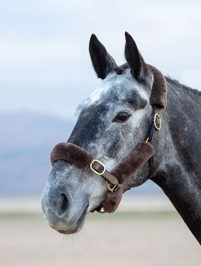 Shires Performance Supafleece Halter Fleeces