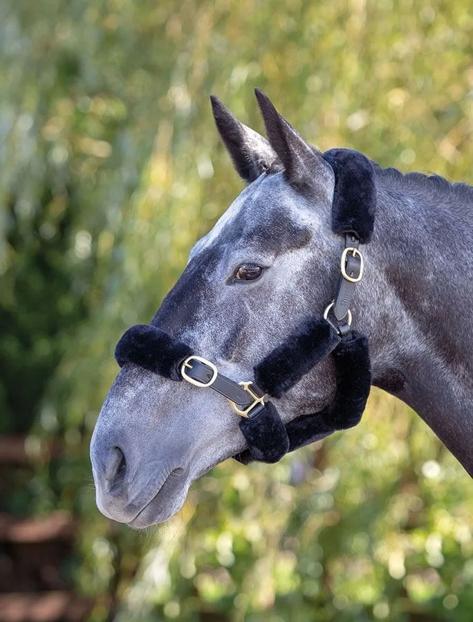 Shires Performance Supafleece Halter Fleeces
