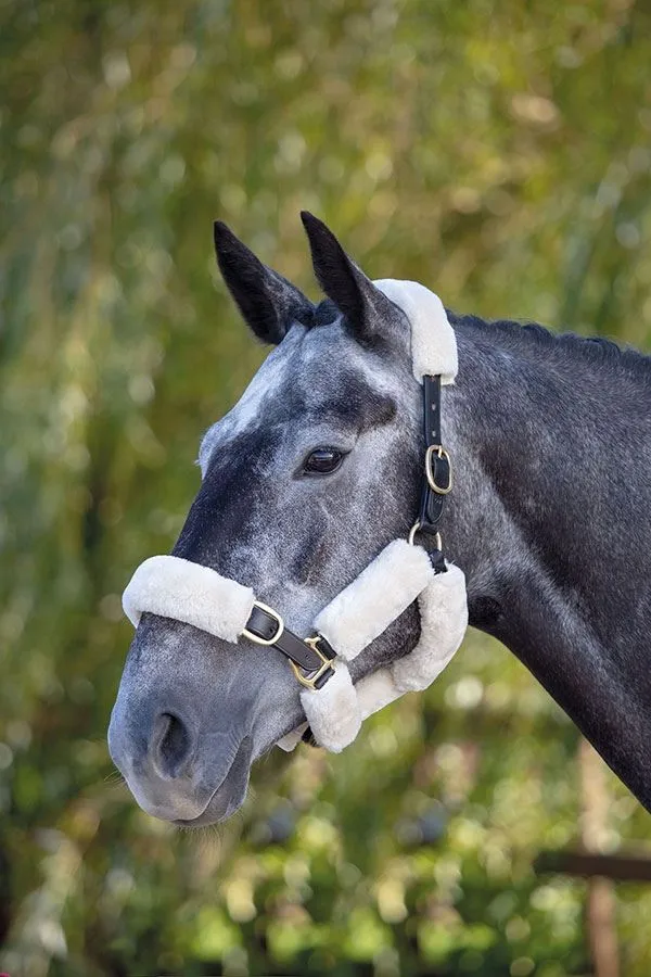 Shires Performance Supafleece Halter Fleeces