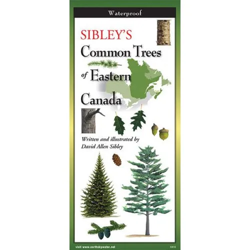 Sibley's Trees of the Eastern Canada  - Folding Guide