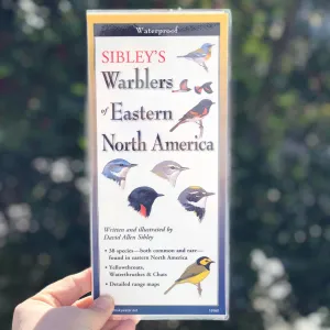 Sibley's Warblers of Eastern North America