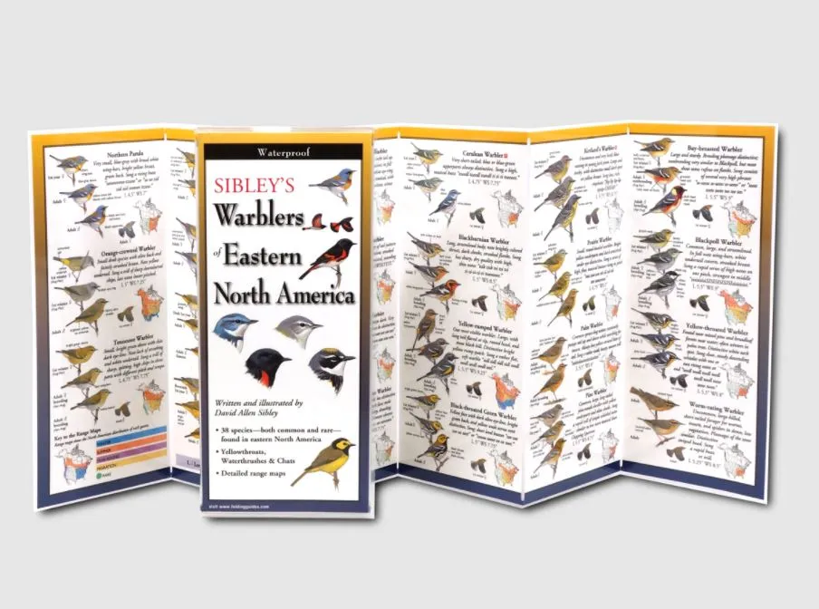 Sibley's Warblers of Eastern North America