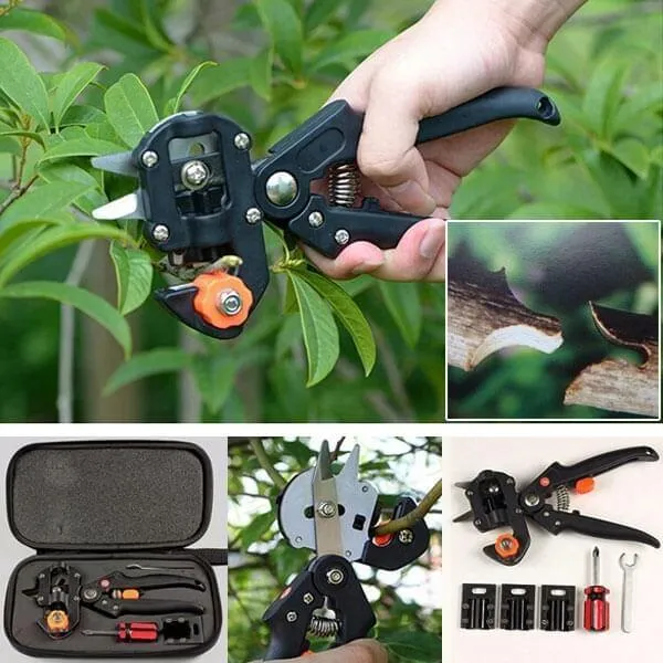Simple Grafting Tool Kit