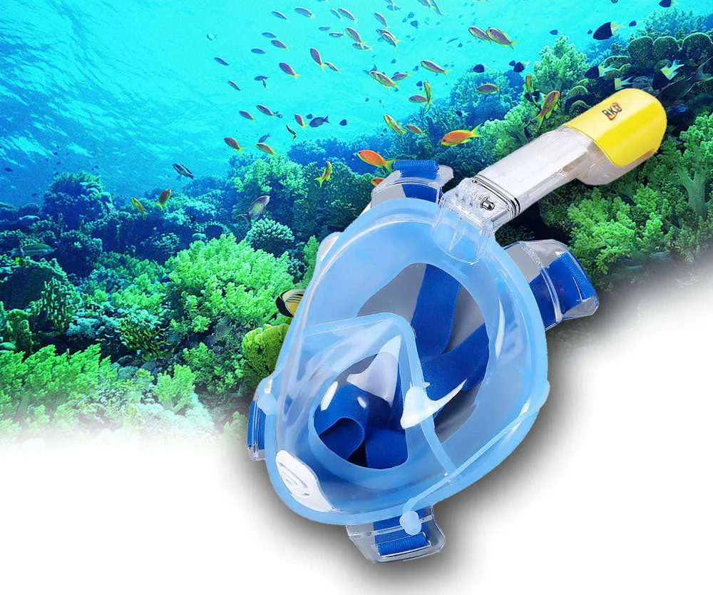 Snorkeling's Diving Mask 