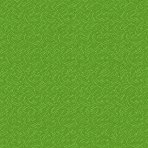 Spin CD5300-PARAKEET Parakeet