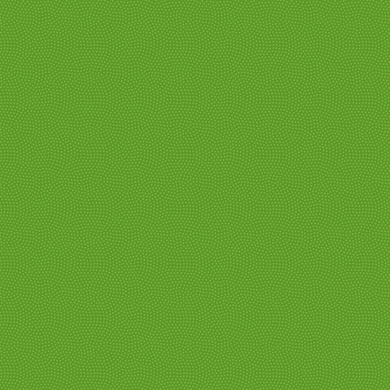 Spin CD5300-PARAKEET Parakeet